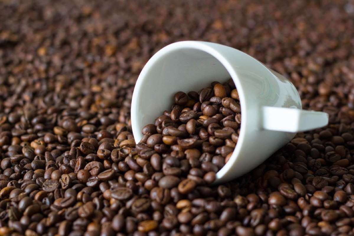 Come scegliere i chicchi di caffè per una macchina da caffè espresso?